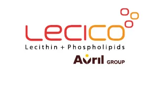 Lecico Logo