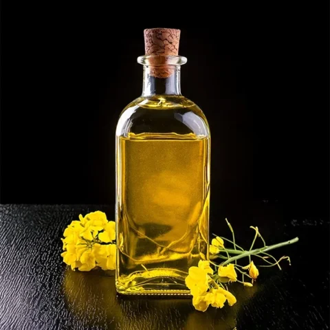 Raps Lecithin flüssig