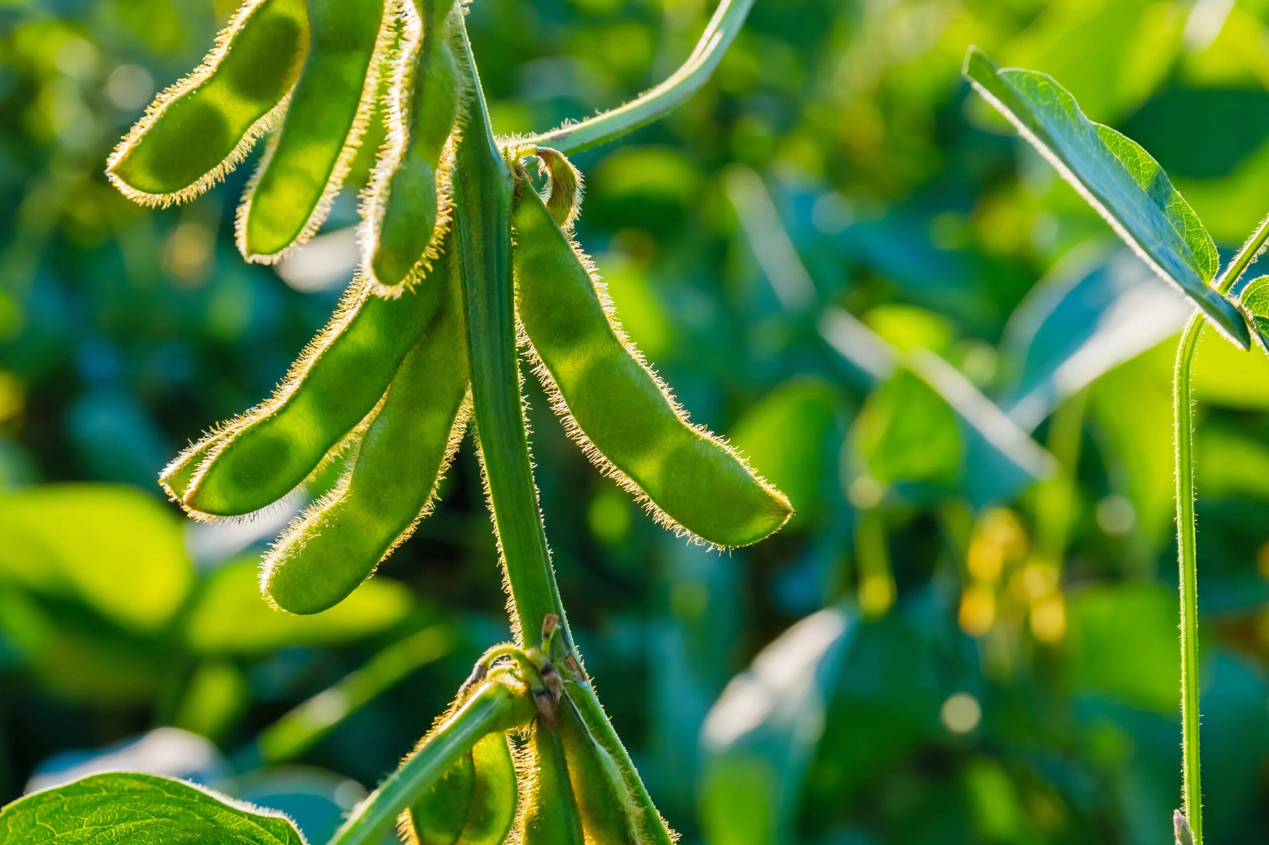 Marktbericht April 2026